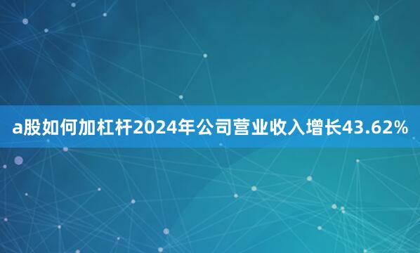 a股如何加杠杆2024年公司营业收入增长43.62%