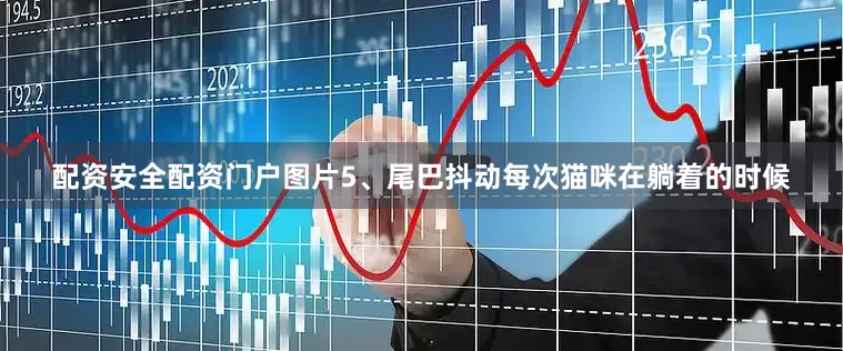 配资安全配资门户图片5、尾巴抖动每次猫咪在躺着的时候