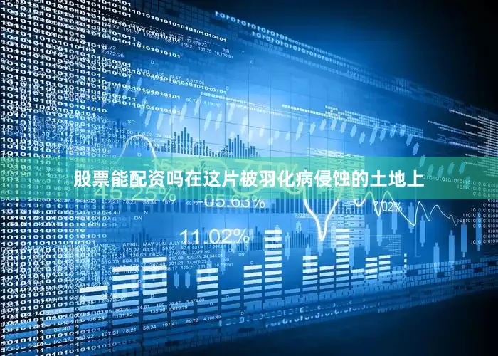 股票能配资吗在这片被羽化病侵蚀的土地上